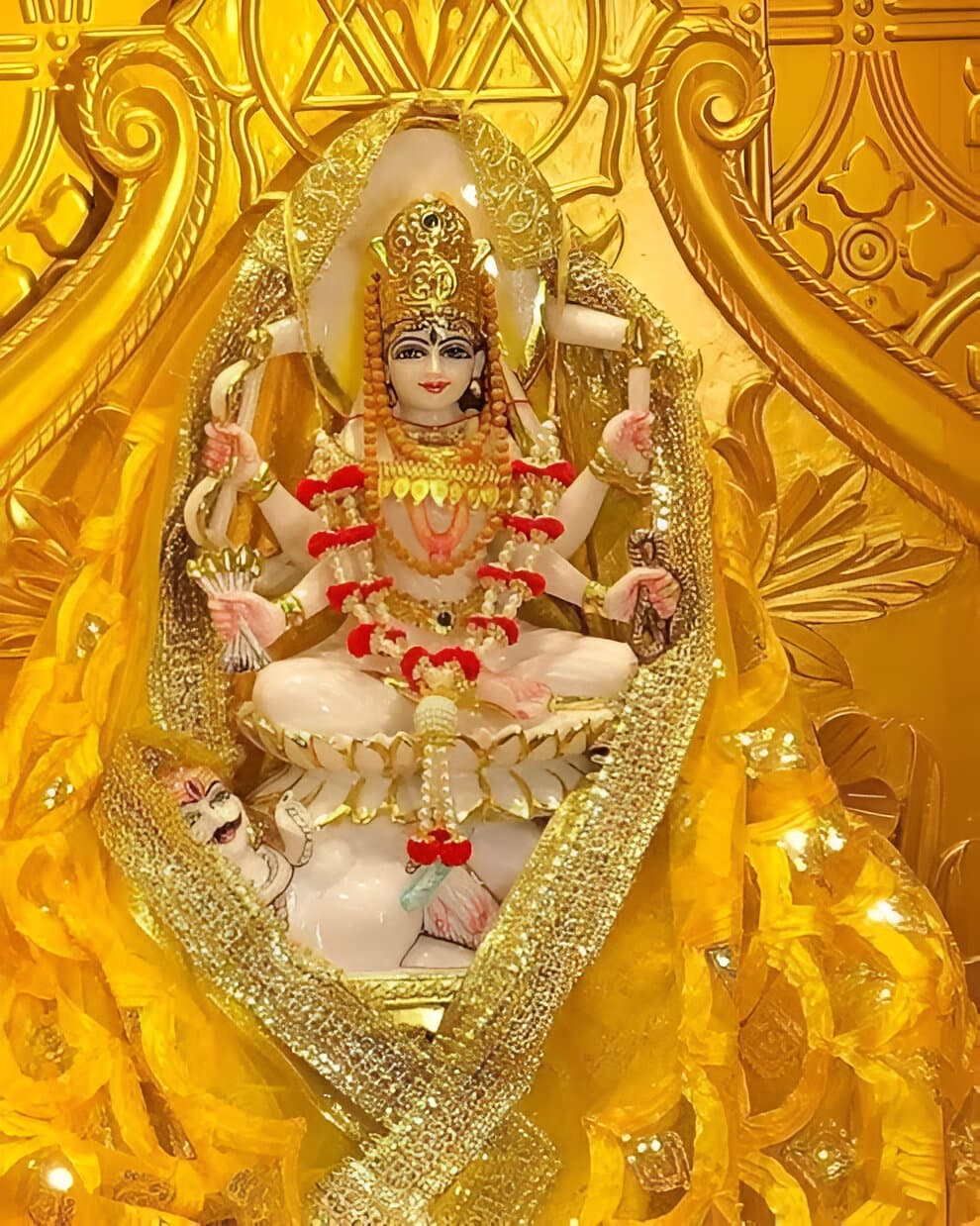 Baglamukhi Mata Jaap at Vindhyachal